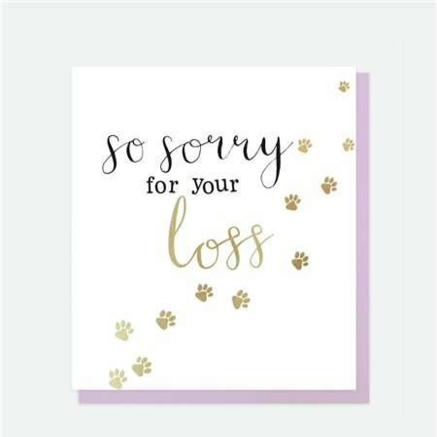 Greeting Cards * | Clearance Caroline Gardner So Sorry For Your Loss White